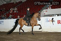 07Buckeye_0231 proof
