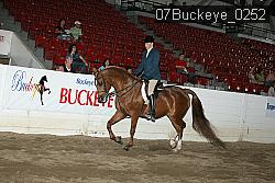 07Buckeye_0252 proof
