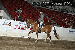 07Buckeye_0254 proof