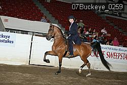 07Buckeye_0259 proof