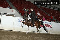 07Buckeye_0260 proof