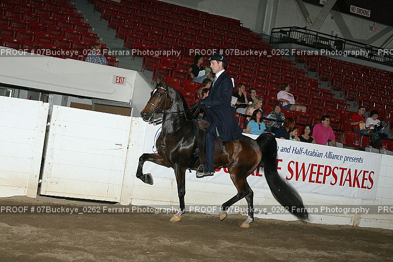 Proof 07Buckeye_0262