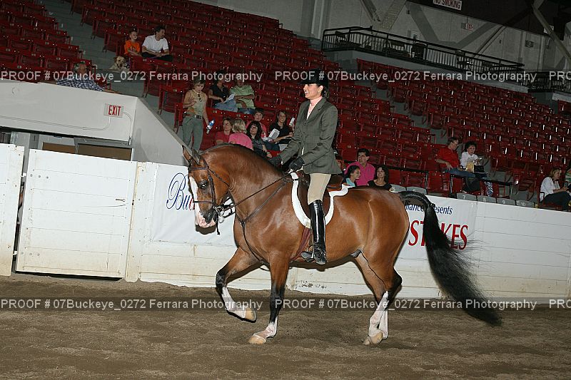 Proof 07Buckeye_0272