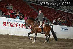 07Buckeye_0273 proof