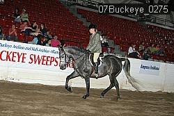07Buckeye_0275 proof