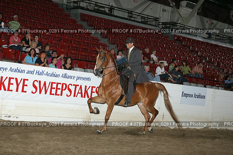 Proof 07Buckeye_0281