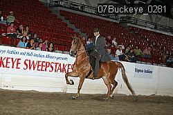 07Buckeye_0281 proof