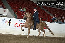07Buckeye_0282 proof