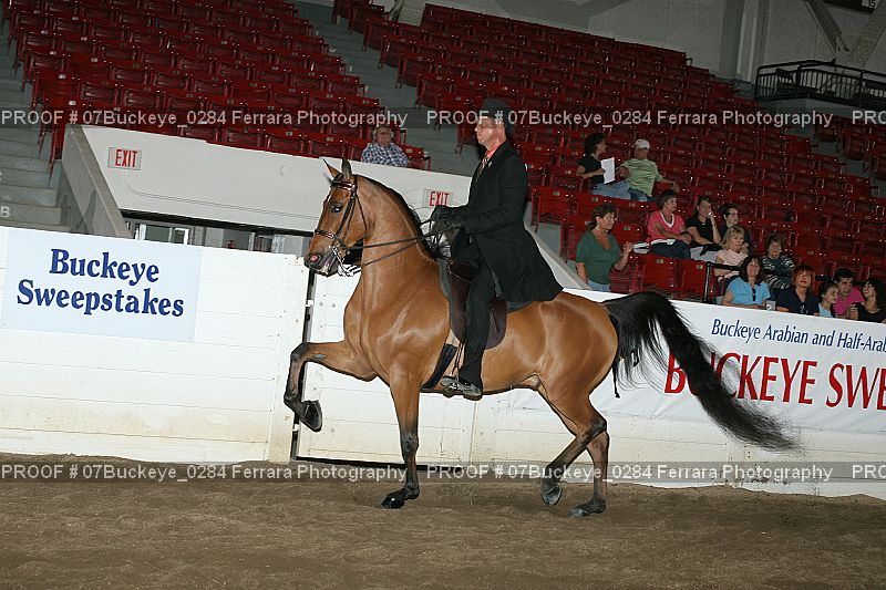 Proof 07Buckeye_0284