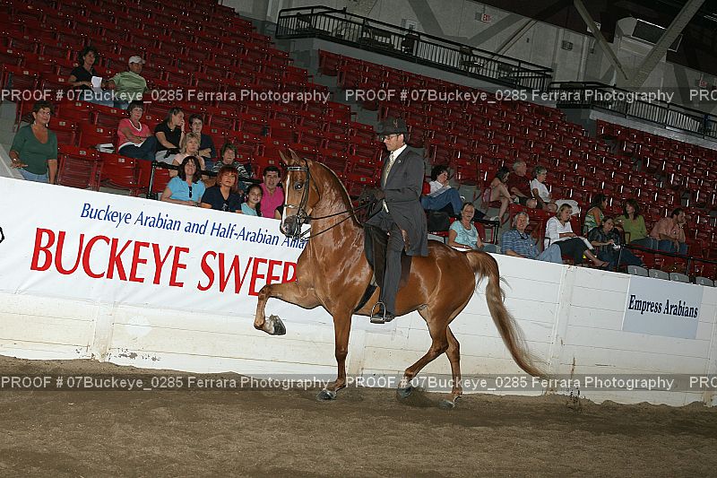 Proof 07Buckeye_0285