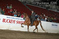 07Buckeye_0285 proof