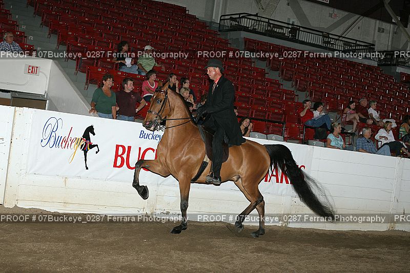 Proof 07Buckeye_0287