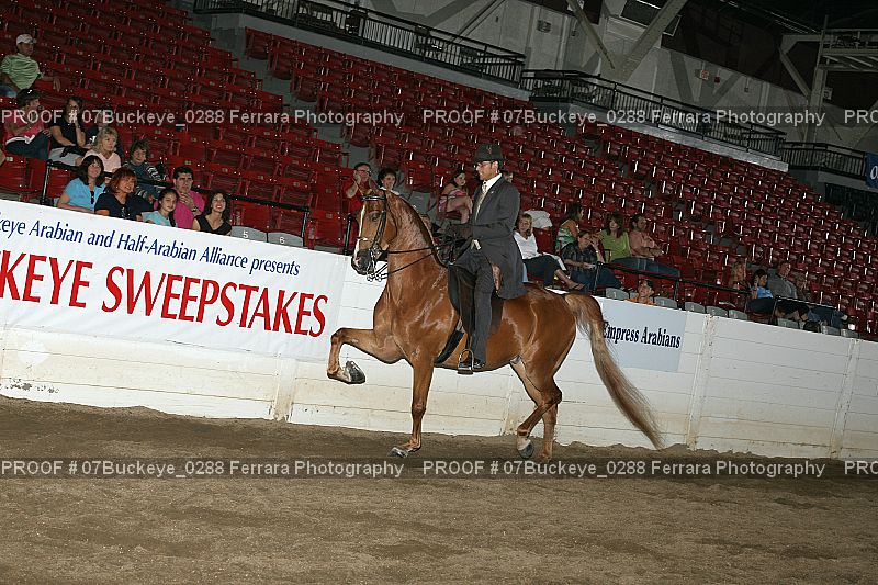Proof 07Buckeye_0288