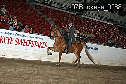 07Buckeye_0288 proof
