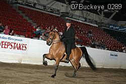 07Buckeye_0289 proof