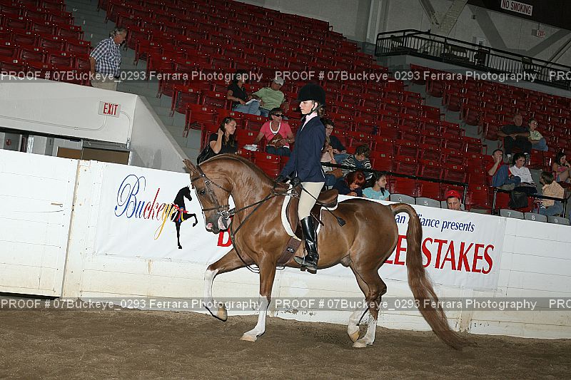 Proof 07Buckeye_0293