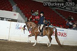 07Buckeye_0293 proof