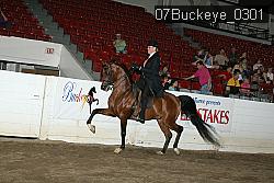 07Buckeye_0301 proof