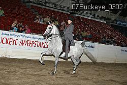 07Buckeye_0302 proof