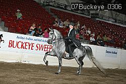 07Buckeye_0306 proof