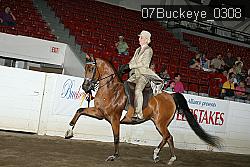 07Buckeye_0308 proof