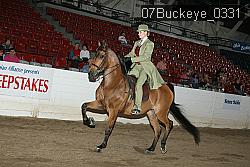 07Buckeye_0331 proof