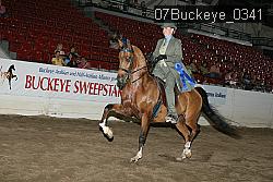 07Buckeye_0341 proof