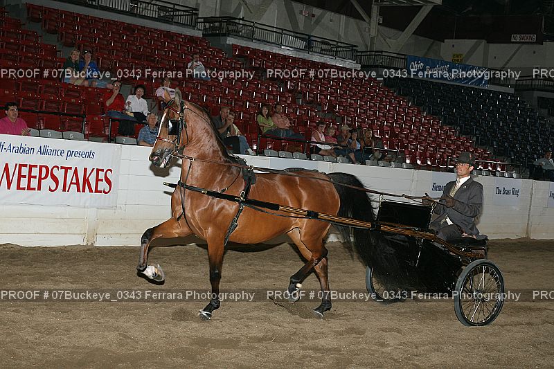 Proof 07Buckeye_0343