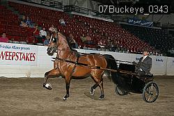 07Buckeye_0343 proof