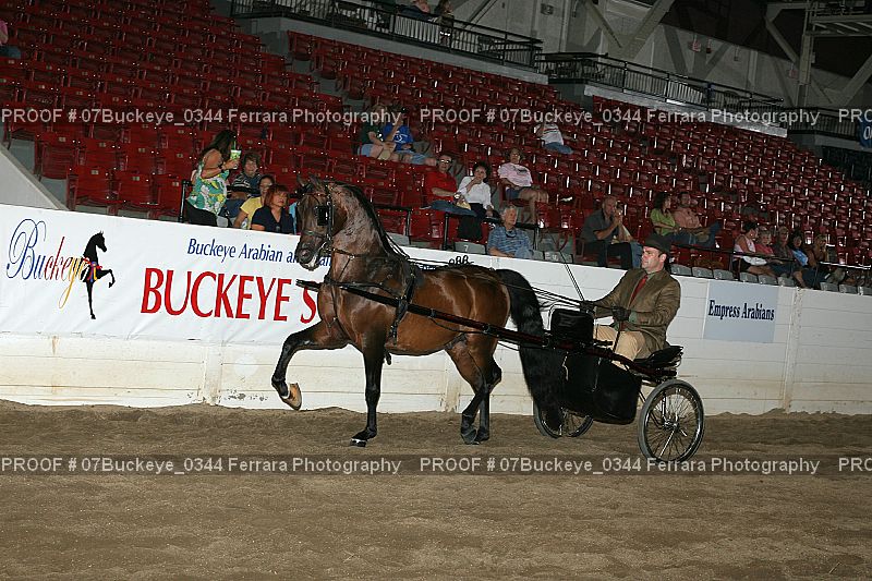 Proof 07Buckeye_0344
