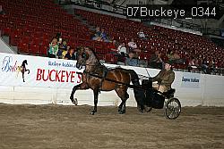 07Buckeye_0344 proof