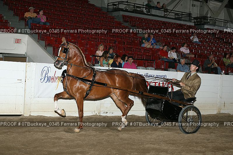 Proof 07Buckeye_0345