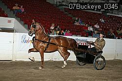 07Buckeye_0345 proof