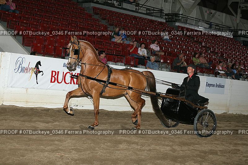 Proof 07Buckeye_0346