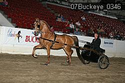 07Buckeye_0346 proof