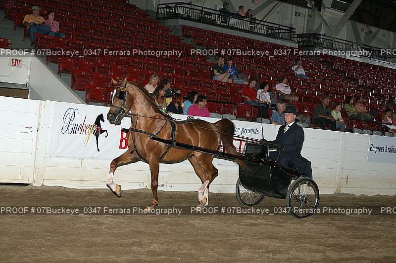 Proof 07Buckeye_0347