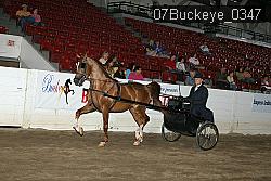 07Buckeye_0347 proof
