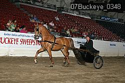 07Buckeye_0348 proof