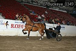 07Buckeye_0349 proof