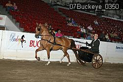 07Buckeye_0350 proof