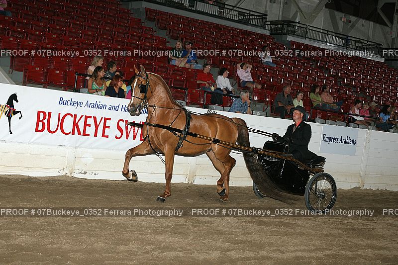 Proof 07Buckeye_0352