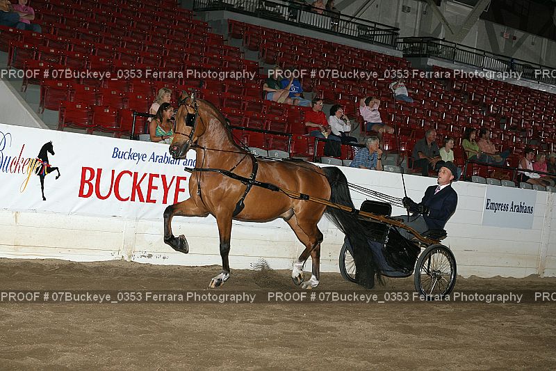 Proof 07Buckeye_0353