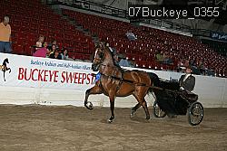 07Buckeye_0355 proof