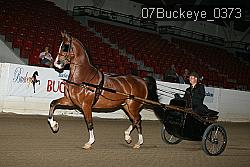 07Buckeye_0373 proof