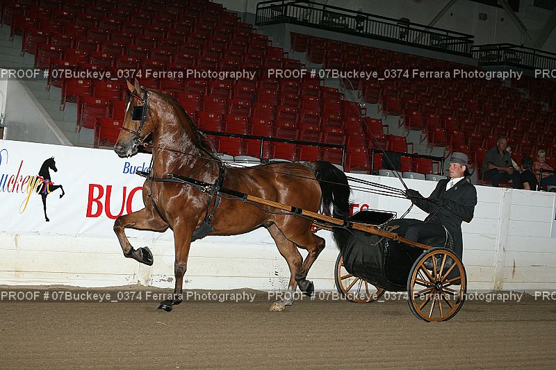 Proof 07Buckeye_0374