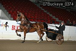 07Buckeye_0374 proof