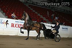 07Buckeye_0375 proof