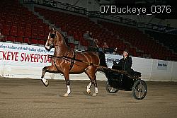 07Buckeye_0376 proof