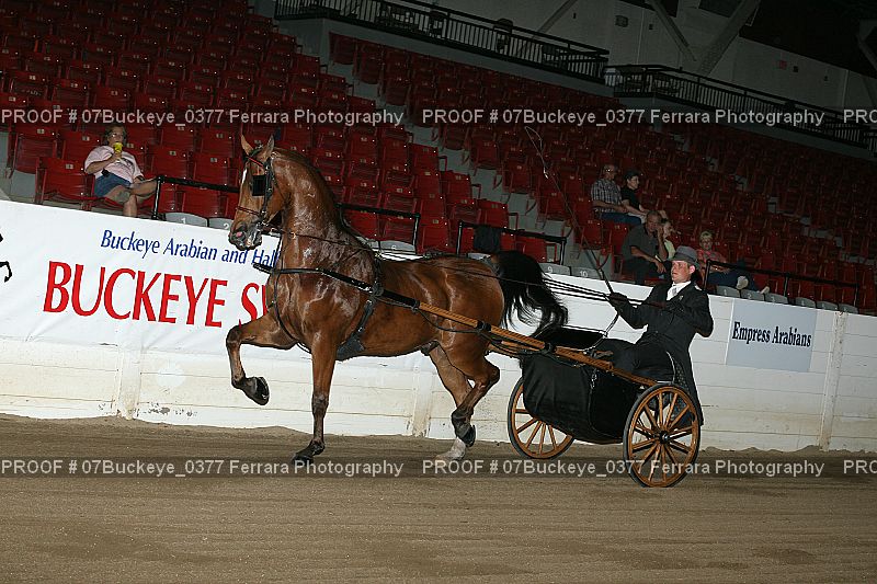 Proof 07Buckeye_0377