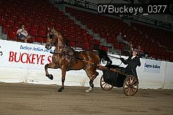 07Buckeye_0377 proof